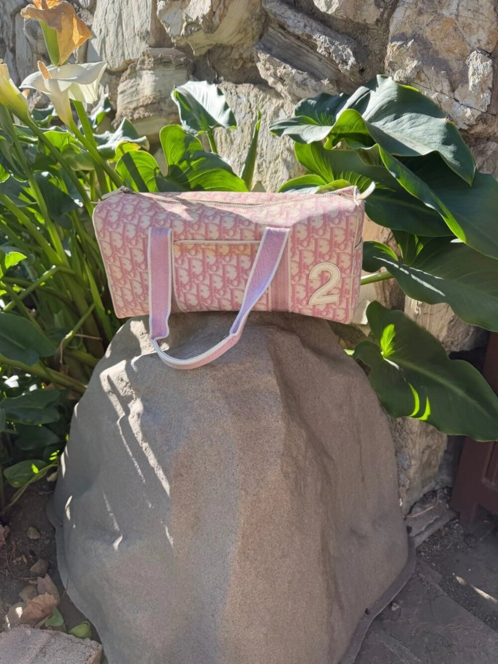 Christian Dior Pink Trotter Girly Boston Bag
